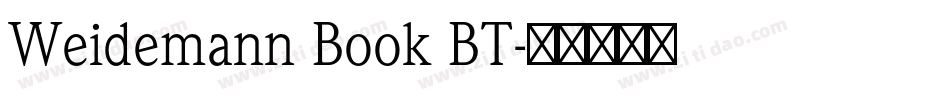 Weidemann Book BT字体转换